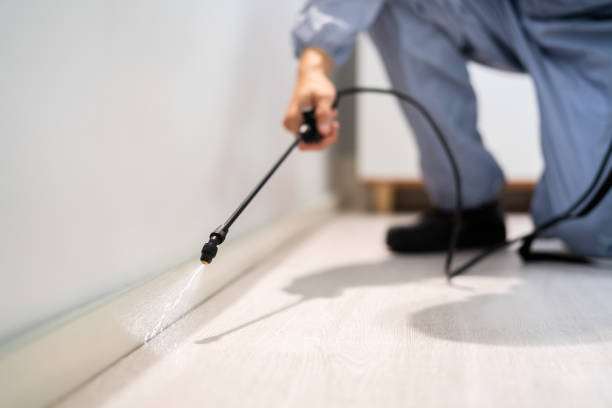 Licensed Fumigation Services service in Pine Prairie, LA - Nex Pest Control
