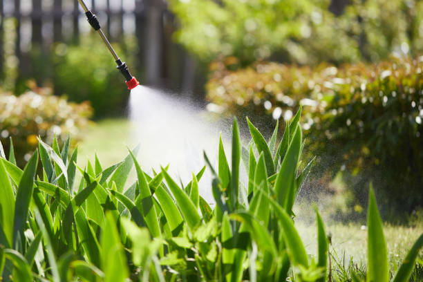 24/7 Emergency Fumigation Services experts in Pine Prairie, LA