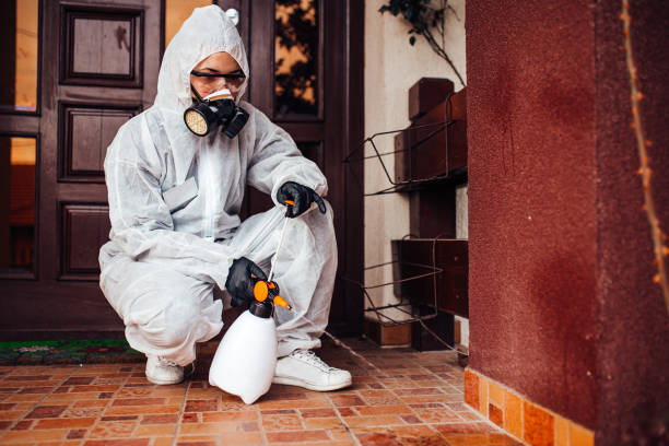 Reliable Fumigation Services contractor in Pine Prairie, LA by Nex Pest Control