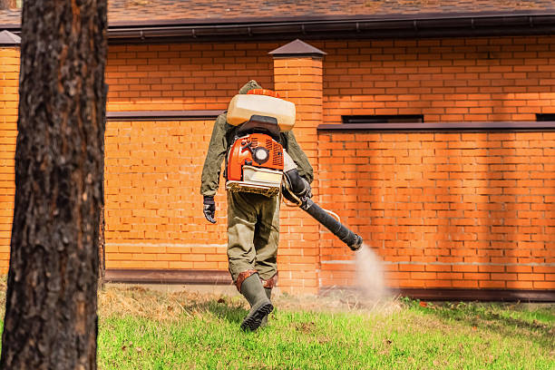 Trusted Termite Control service in Pine Prairie, LA - Nex Pest Control